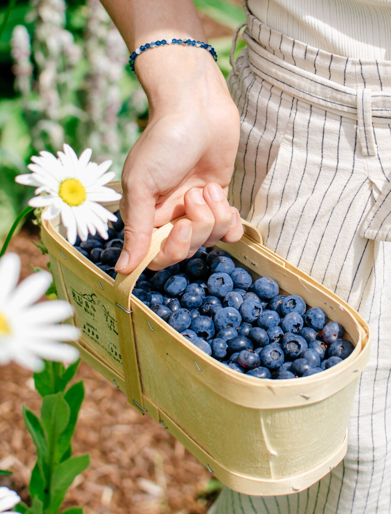 U-PICK Blueberry