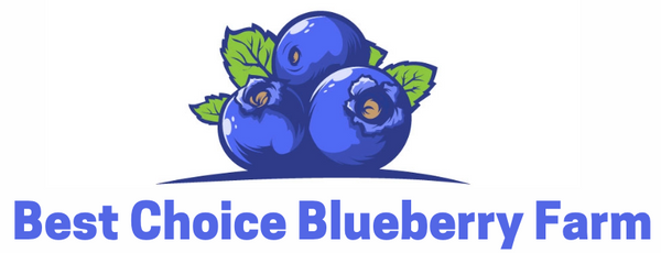 Best Choice Blueberry Farm